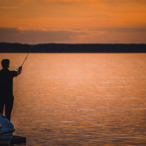 Photo #4821924