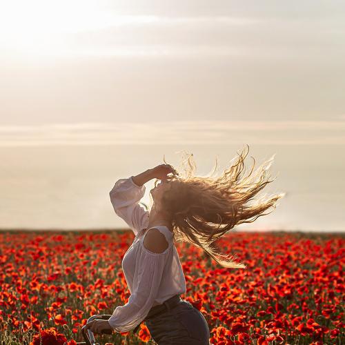 Photo #4822537