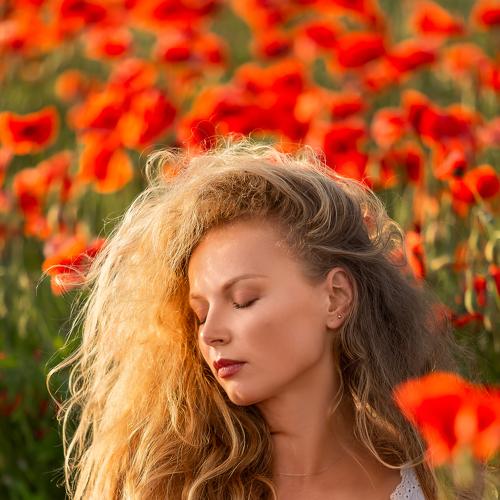 Photo #4822538