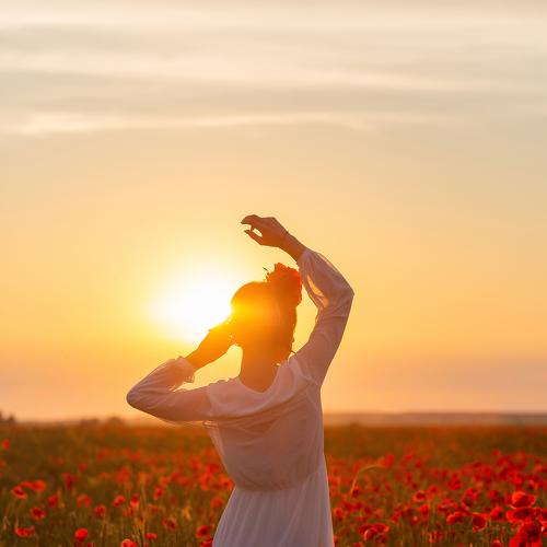 Photo #4822592