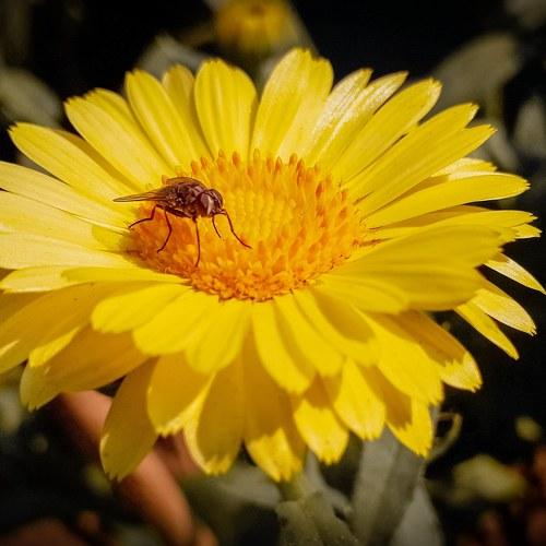 Photo #4822679