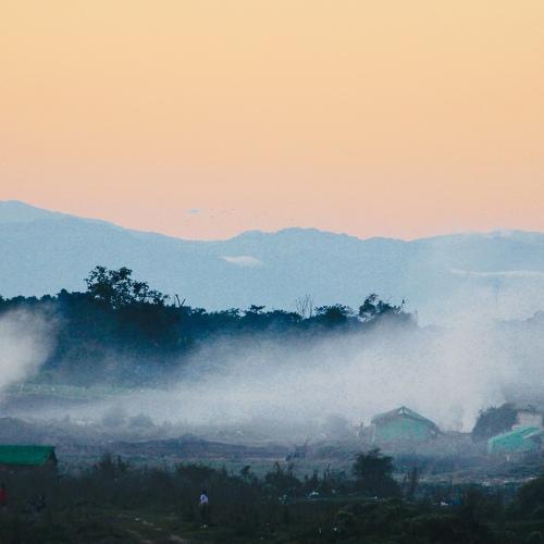 Photo #4823628