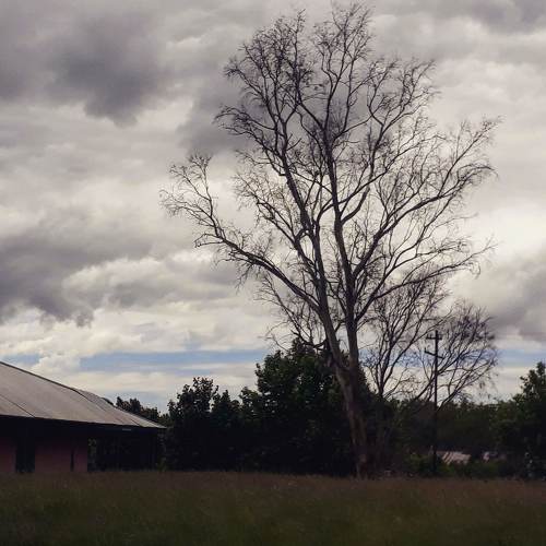 Photo #4823707