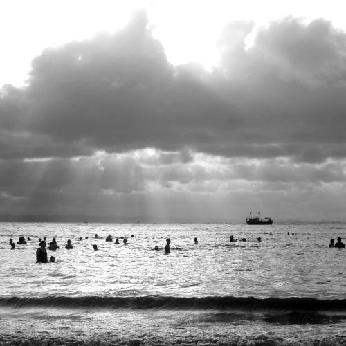 Photo #4824019