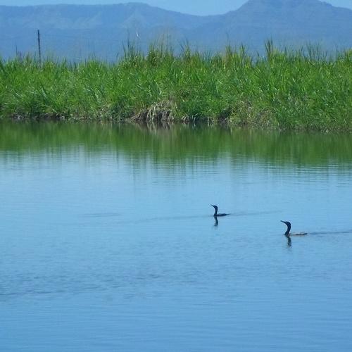 Photo #4824598