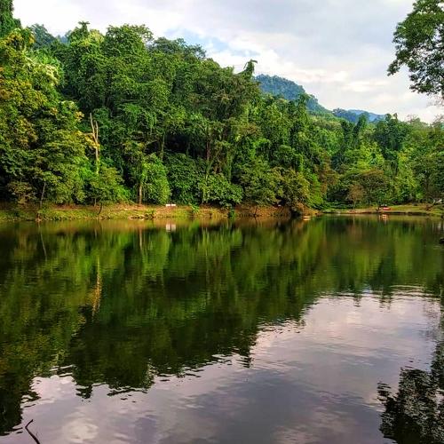 Photo #4824709