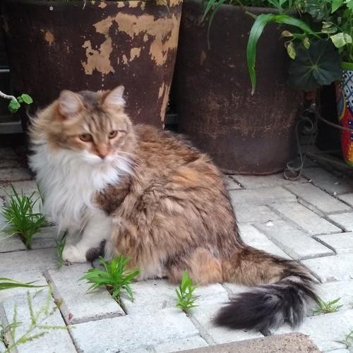 Photo #4824835