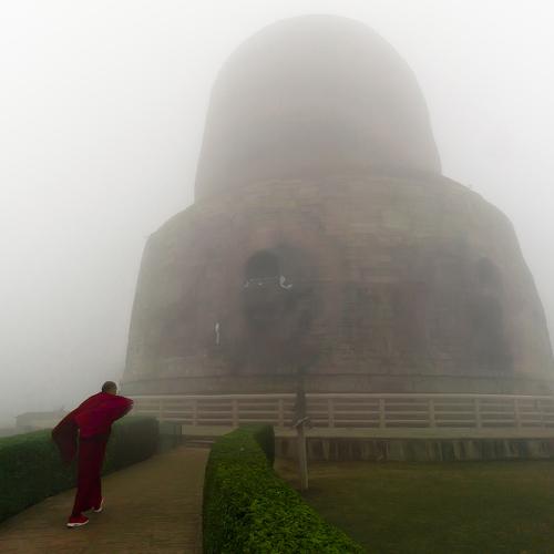 Photo #4825206