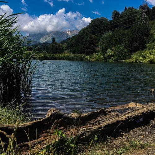 Photo #4825323