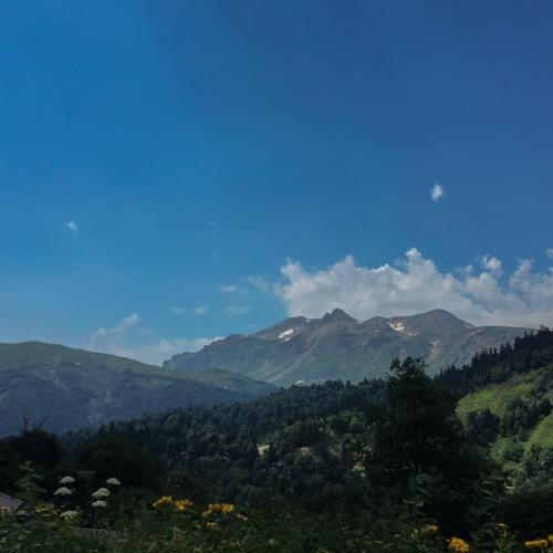 Photo #4825330