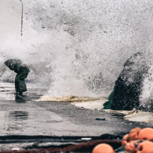 Photo #4825623