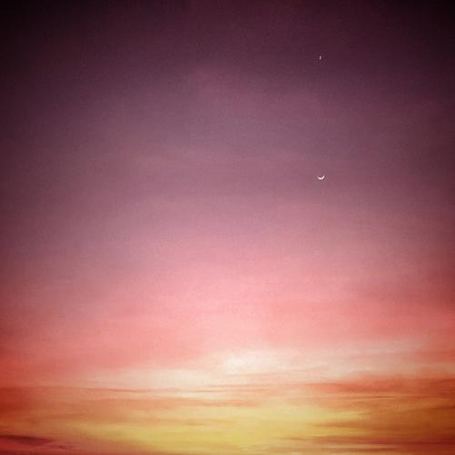 Photo #4825806