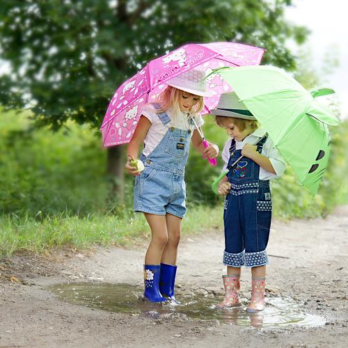 Photo #4825877