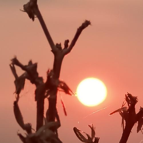 Photo #4826133
