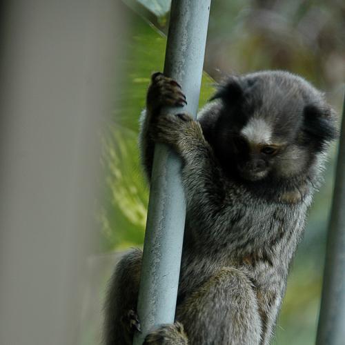 Photo #4826169