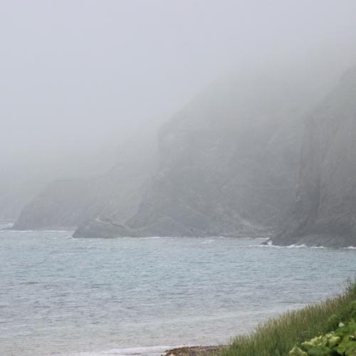 Photo #4826210