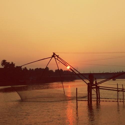 Photo #4826243