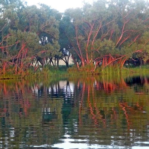 Photo #4826436