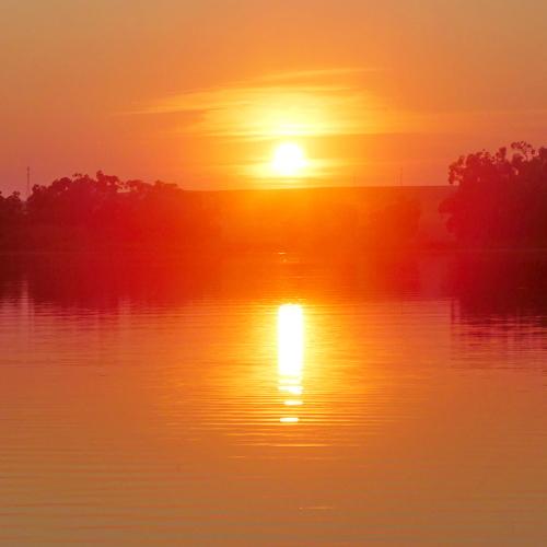 Photo #4826438