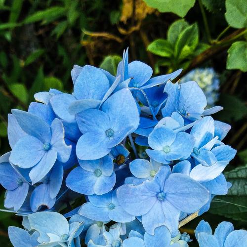 Photo #4826836
