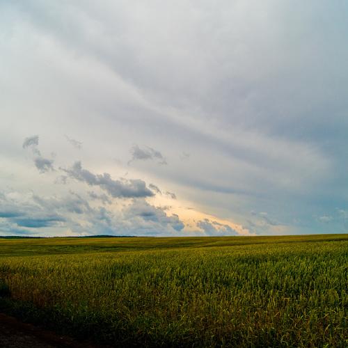 Photo #4827885