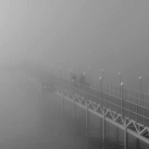Photo #4828341