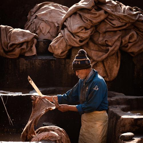Photo #4828370