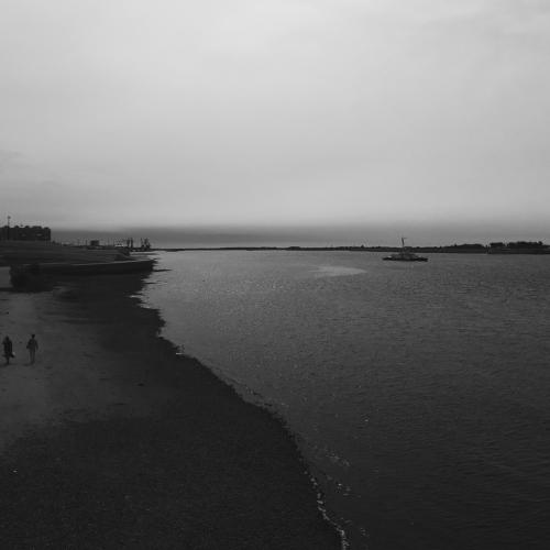 Photo #4828891