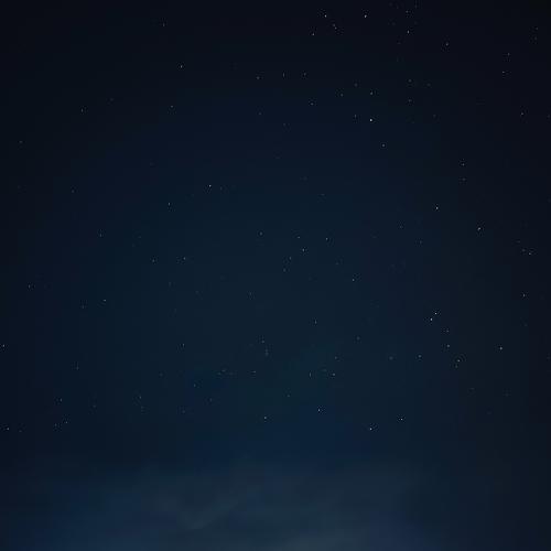Photo #4828903