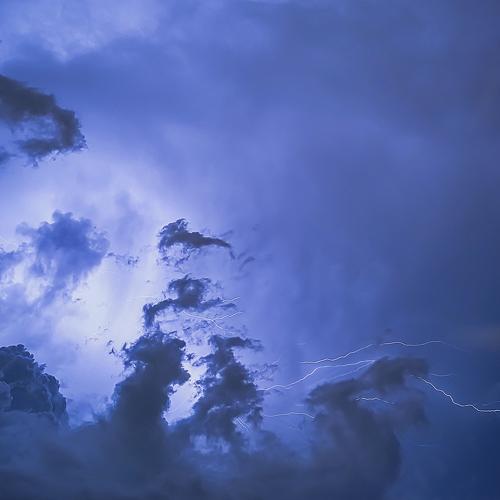 Photo #4828904