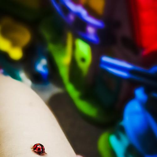 Photo #4828986
