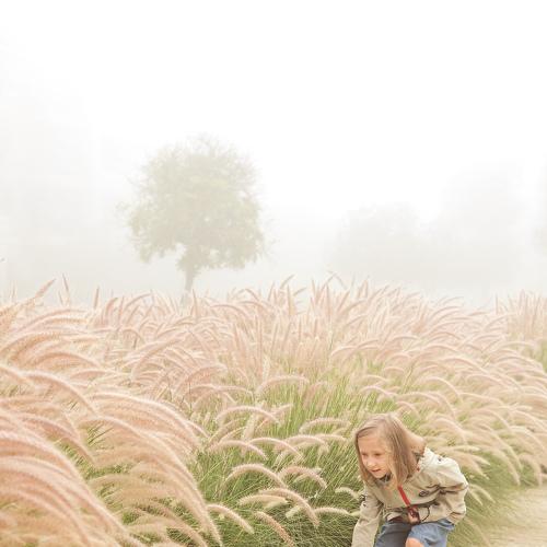 Photo #4829221