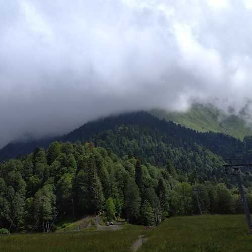 Photo #4829239