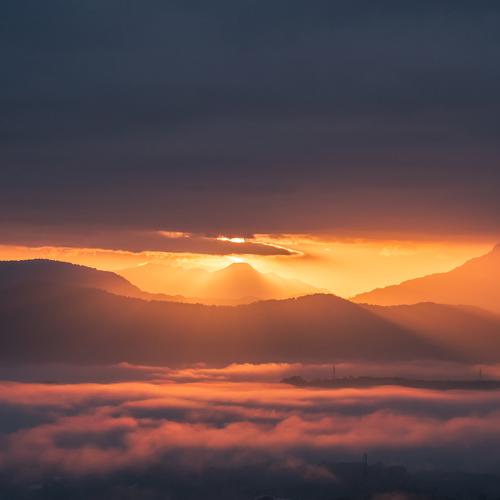 Photo #4829372