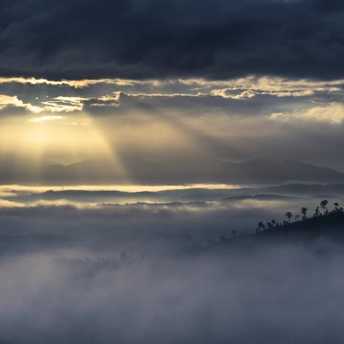 Photo #4829379