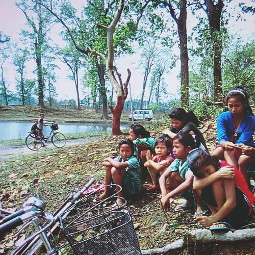 Photo #4829502