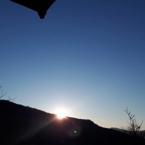 Photo #4829631