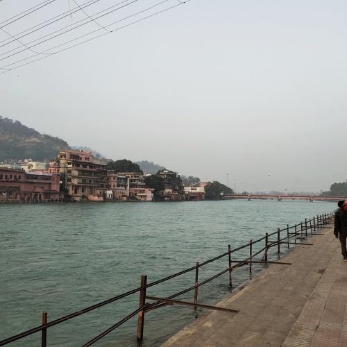 Photo #4829704