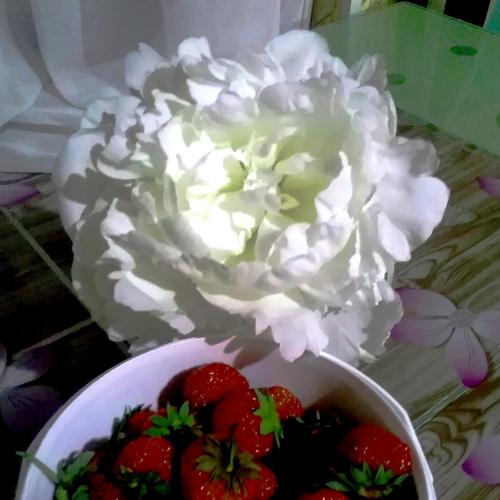 Photo #4829733