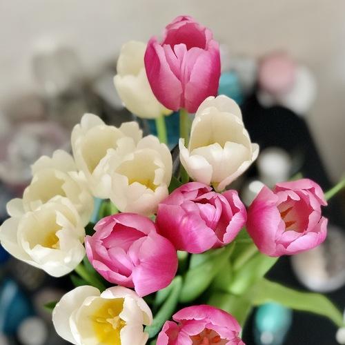 Photo #4829951