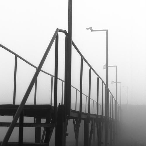 Photo #4830073