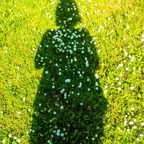 Photo #4830763
