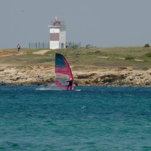 Photo #4830990