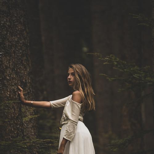 Photo #4831690