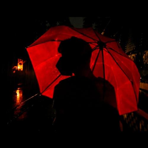 Photo #4831740