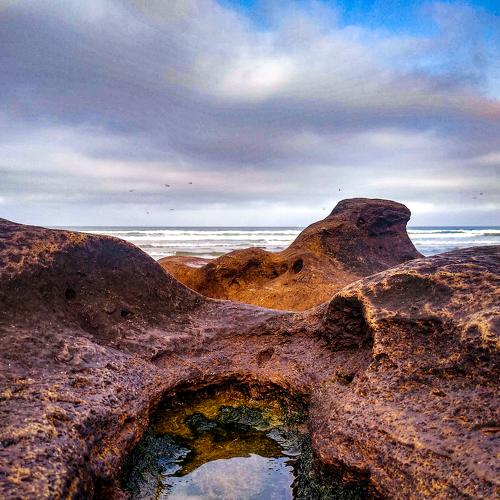 Photo #4831819