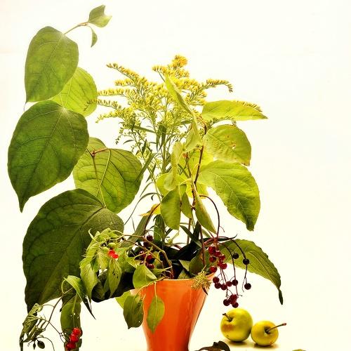 Photo #4832039