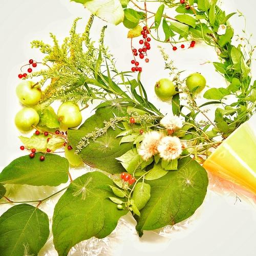 Photo #4832048