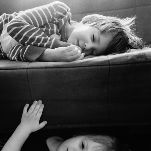 Photo #4832060