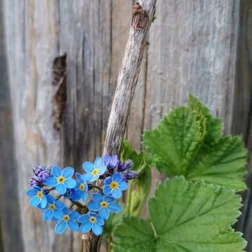 Photo #4832201